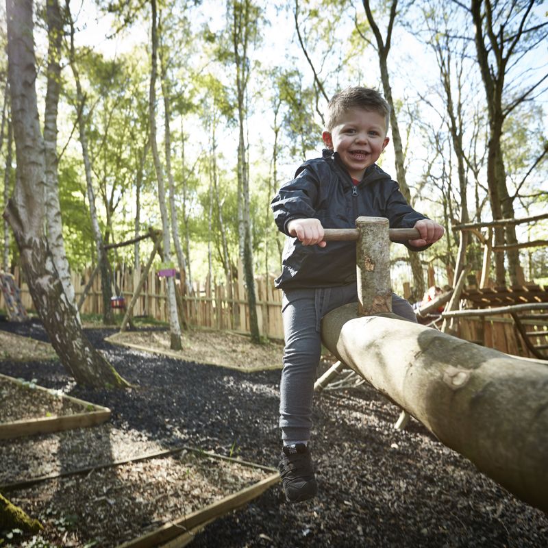 800x800__thefish-c New year